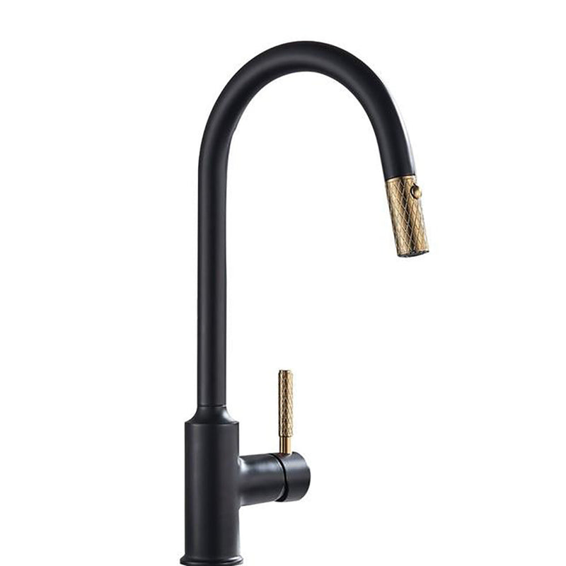 Black-Brushed Gold Pull Out Dual Mode Kitchen Faucet