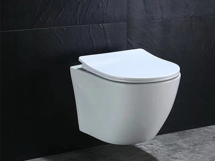 Wall Mounted Elongated Toilet Bowl 8010