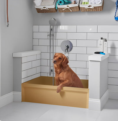 Dog Stainless Steel Brushed Brass Gold bath tub mudroom washing station 16 gauge commercial grade stainless steel
