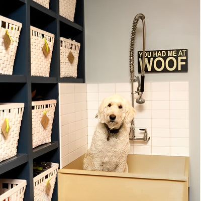 Dog Stainless Steel Brushed Brass Gold bath tub mudroom washing station 16 gauge commercial grade stainless steel