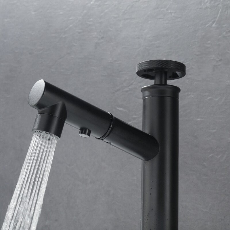 Black Industrial Victoria Kitchen Pull Out Faucet