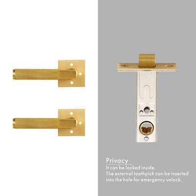 Brushed gold with black two tone interior door lock hardware kit