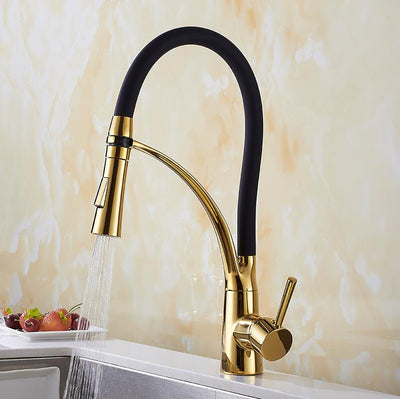 Colors Kitchen Faucet Dual Spray Pull Out