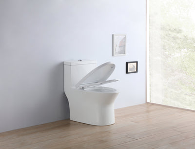 One Piece Dual Flush Toilet Completed with Soft Close and Removable Toilet Seat 950