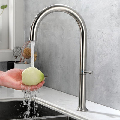 Munich- Modern Euro Design Kitchen Faucet