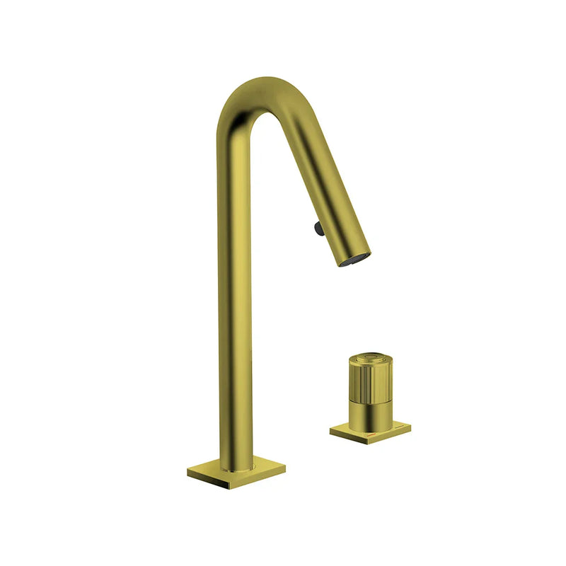 Ceruti- New modern Euro design 2 Hole bathroom faucet