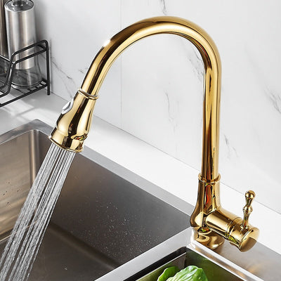 Gold Victorian pull out dual sprayer kitchen faucet