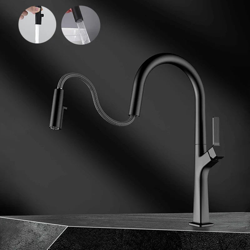 Cadillac- New 2024 Modern pull out dual sprayer kitchen faucet