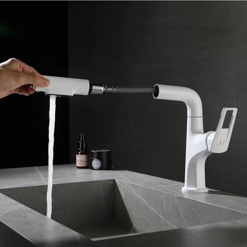 Dublin-Bar Kitchen dual pull out sprayer faucet