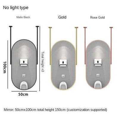 Oval 2 pole  1 side Brushed Gold LED Ceiling Mount Mirror