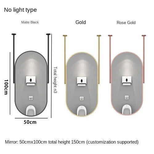 Oval 2 pole  1 side Brushed Gold LED Ceiling Mount Mirror