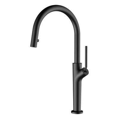 Extacy- New 2024 modern design pull out dual sprayer kitchen faucet