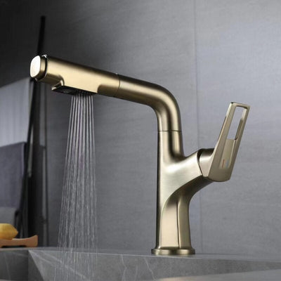 Dublin-Bar Kitchen dual pull out sprayer faucet