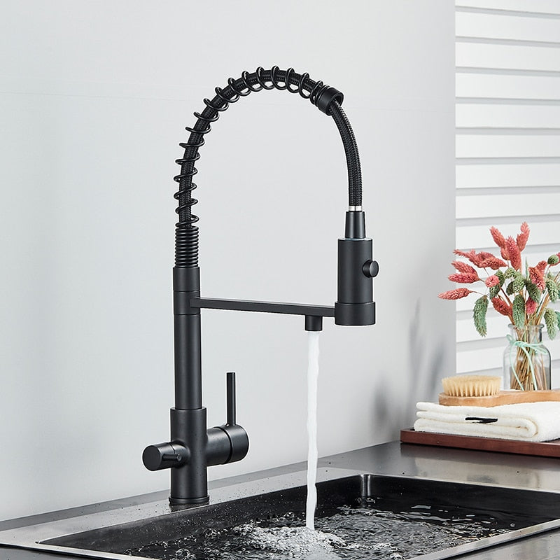 Santa Monica-2 Way Reverse Osmosis water filter and Pull Out Kitchen Faucet