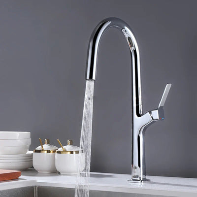 Cadillac- New 2024 Modern pull out dual sprayer kitchen faucet