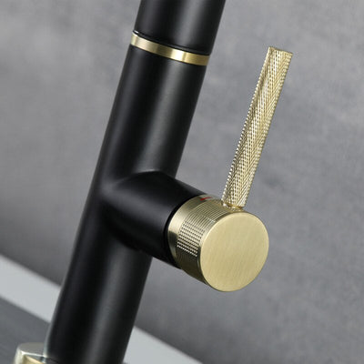 Panama-Black with brushed gold kitchen faucet dual pull out sprayer