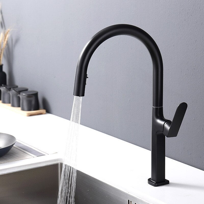 Aphrodite Kitchen Faucet Dual Spray Pull Out