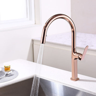 Rose gold Kitchen Faucet Dual Spray Pull Out