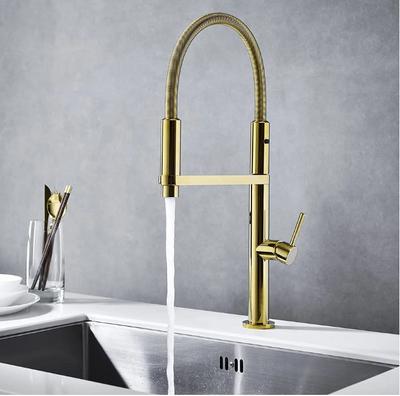 24K Gold polished brass 2 way kitchen faucet sprayer