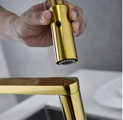 24K Gold polished brass 2 way kitchen faucet sprayer