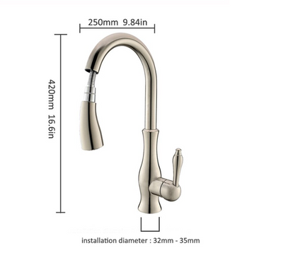 Florina-Transitional Design Pull Out Dual Mode Sprayer Kitchen Faucet