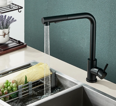 Black bar pull out faucet