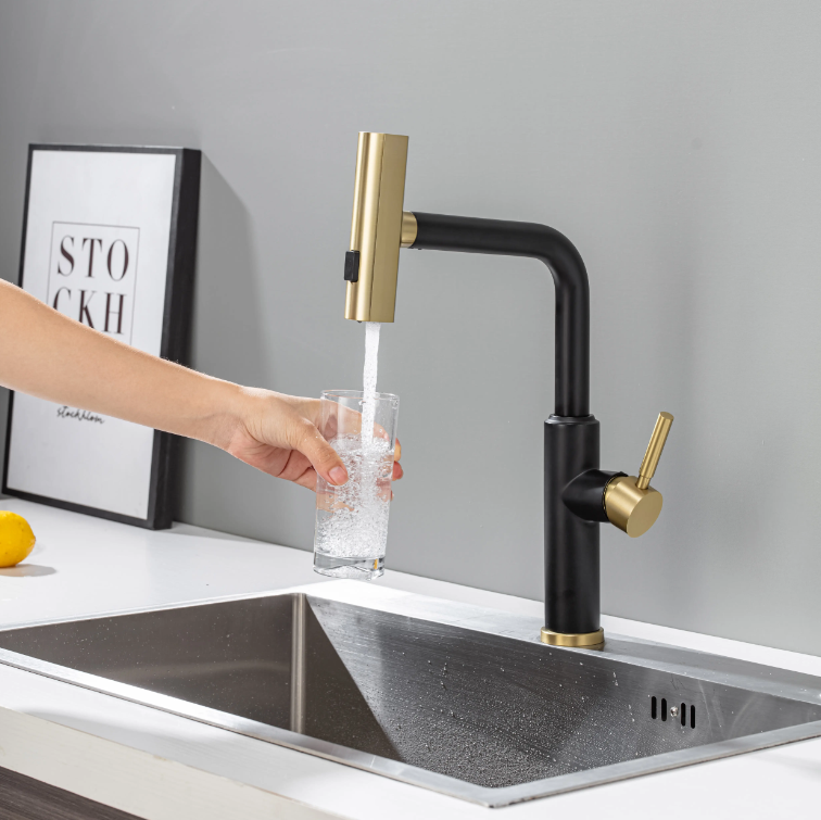 Scorpa - Black with Gold polished Italian design kitchen faucet pull out switch spray