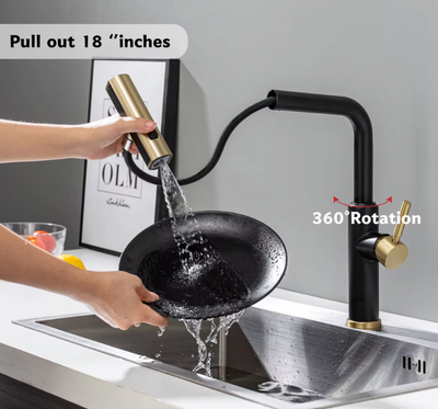 Scorpa - Black with Gold polished Italian design kitchen faucet pull out switch spray