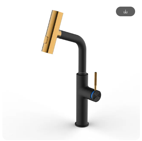 Scorpa - Black with Gold polished Italian design kitchen faucet pull out switch spray