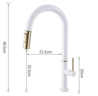 Rotterdam- White with Brushed Gold Tone Tall Sleek Design pull out dual spray kitchen faucet spray