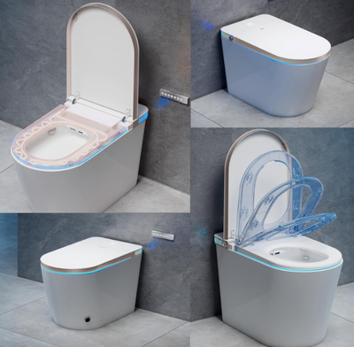 Tron-New White with brushed gold trim intelligent washlet toilet bidet fully loaded