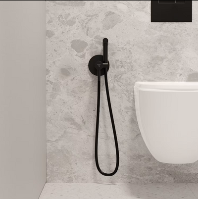 Black wall hung behind the wall cistern tank carrier, bowl, button and black bidet kit