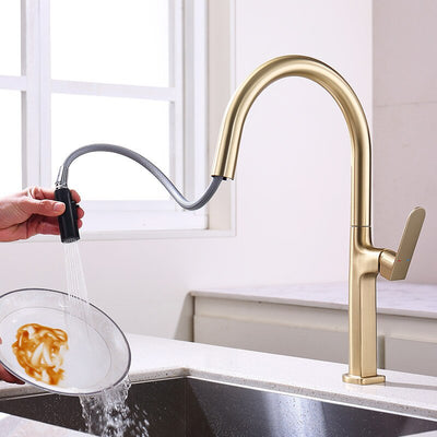 Aphrodite Kitchen Faucet Dual Spray Pull Out