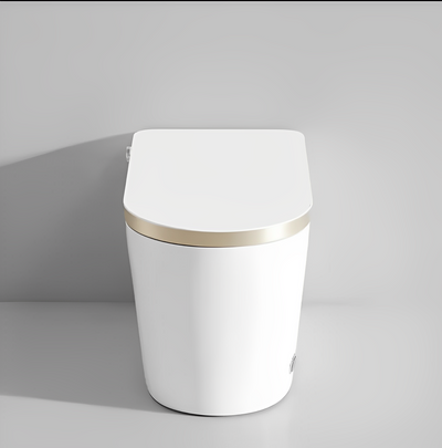 Tron-New White with brushed gold trim intelligent washlet toilet bidet fully loaded