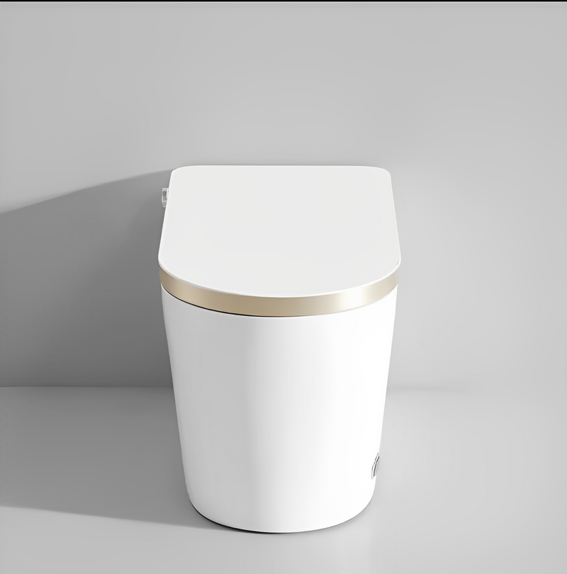 Tron-New White with brushed gold trim intelligent washlet toilet bidet fully loaded