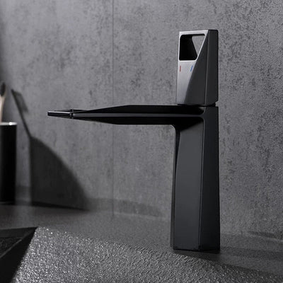 Franco- Modern design single hole bathroom faucet