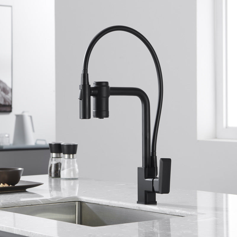 Nordic design 2 way reverse osmosis and pull out dual spray kitchen faucet