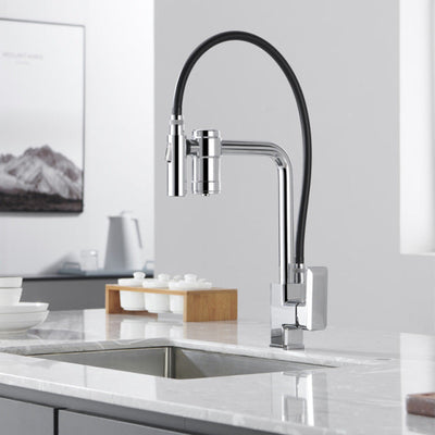 Nordic design 2 way reverse osmosis and pull out dual spray kitchen faucet