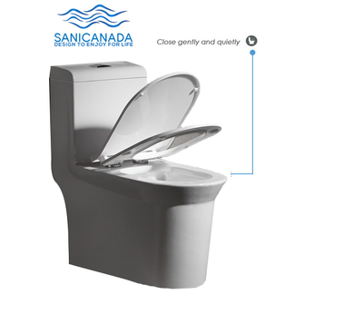 One piece skirted water saver dual flush toilet 930