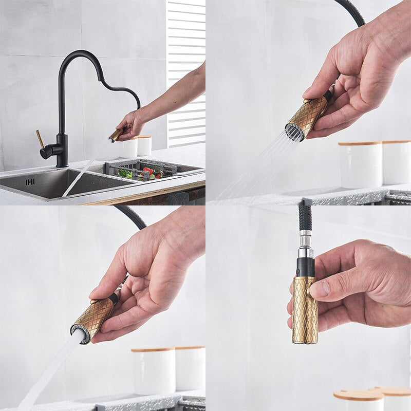 Montenegro-Black & Brushed Gold Two Tone Kitchen Faucet