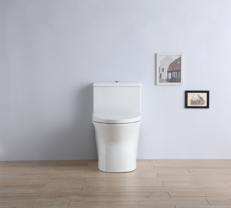One Piece Dual Flush Toilet Completed with Soft Close and Removable Toilet Seat 950