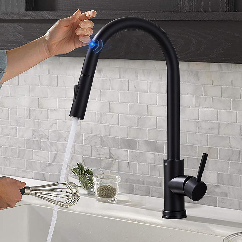 Black Kitchen Faucet Goose Neck Dual Sprayer Mode Manual